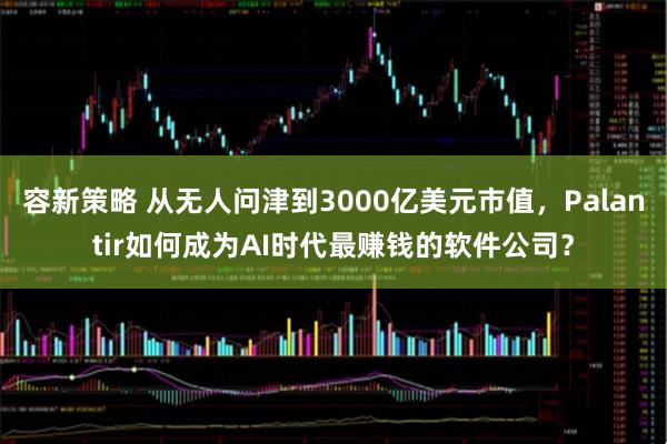容新策略 从无人问津到3000亿美元市值，Palantir如何成为AI时代最赚钱的软件公司？